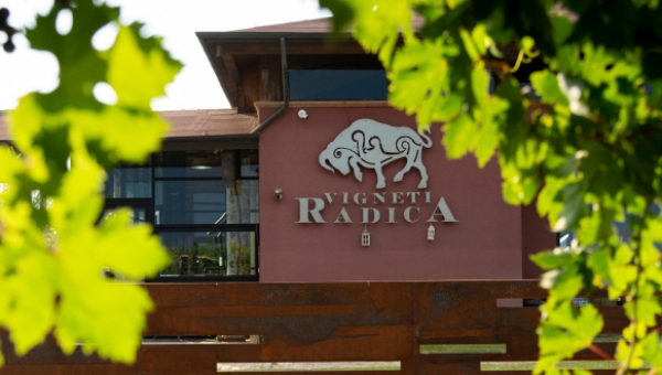 20 NOVEMBRE 2025 DEGUSTAZIONE VINI IN ABBINAMENTO AL CIBO